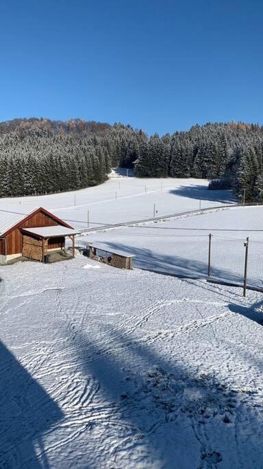 Idyllisches Ferienapartment Allgaeu Bad Grönenbach Exterior foto